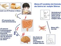 © Universitätsmedizin Mainz