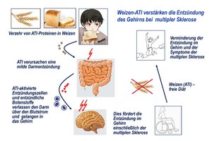 © Universitätsmedizin Mainz