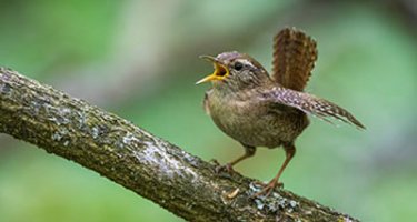 © Rolf Müller_Adobe Stock.com
