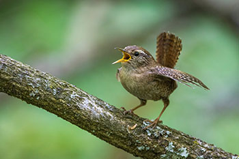 © Rolf Müller_Adobe Stock.com